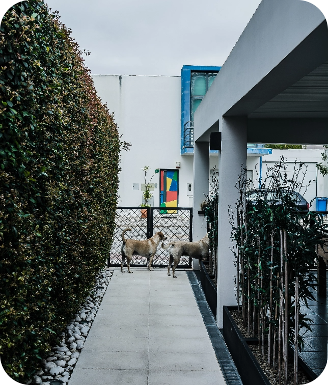 Área externa da clínica